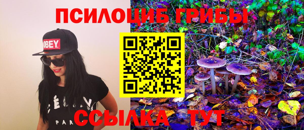 Псилоцибиновые грибы мухоморы Мценск