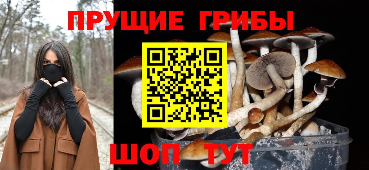 Мценск  Галлюциногенные грибы Magic Shrooms  Псилоцибиновые грибы мицелий  Вход с VPN 